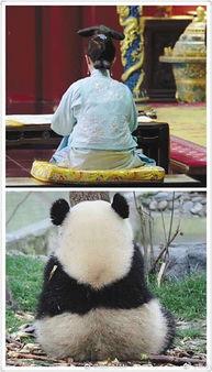 娱乐圈吃瓜群众的句子